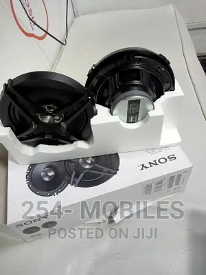 Sony XS-FBI61E