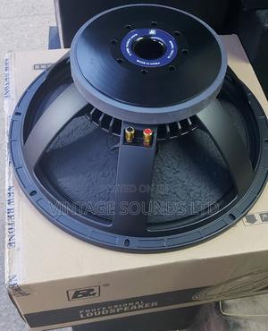 NR18 Bm Professional Bass Speakers - main view