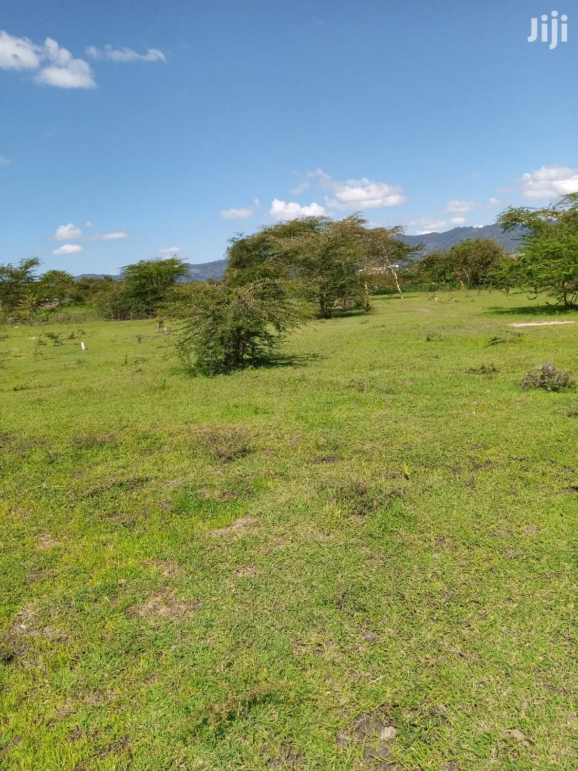2.5 Acres At Katelembo