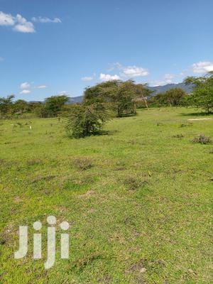 2.5 Acres At Katelembo - thumbnail 2