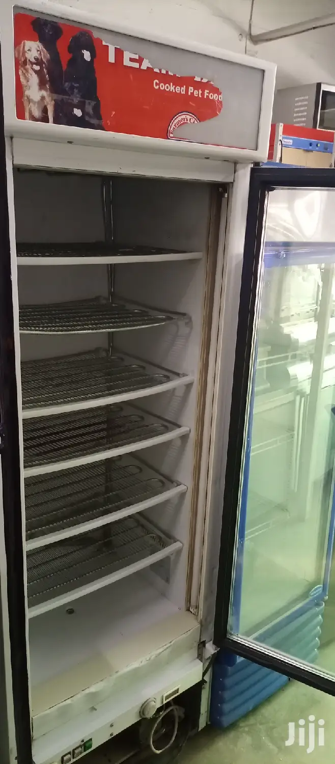 Upright Showcase Freezer