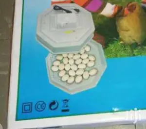 Newest 60 Egg Incubator