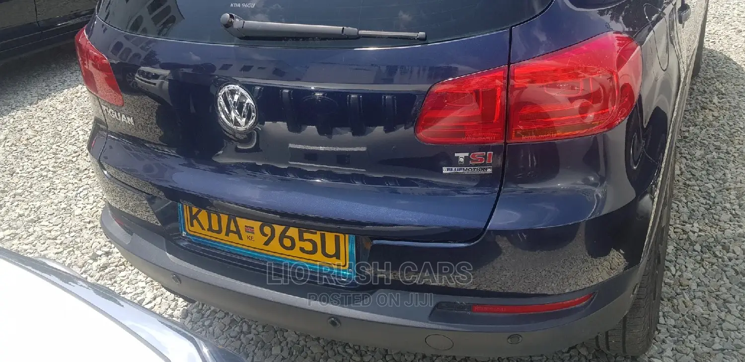 Volkswagen Tiguan 2013 Blue