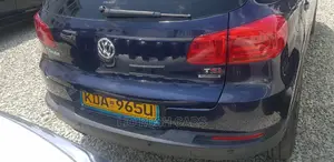 Volkswagen Tiguan 2013 Blue