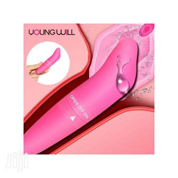 Mini G-spot Dolphin Vibrator / Clitoris Stimulator - main view