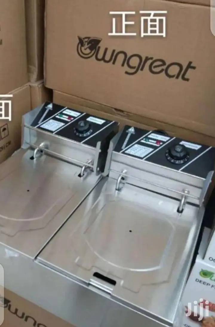 Movable Double Deep Fryer