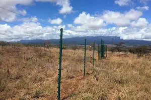 Electric Fence Installation In Kenya
