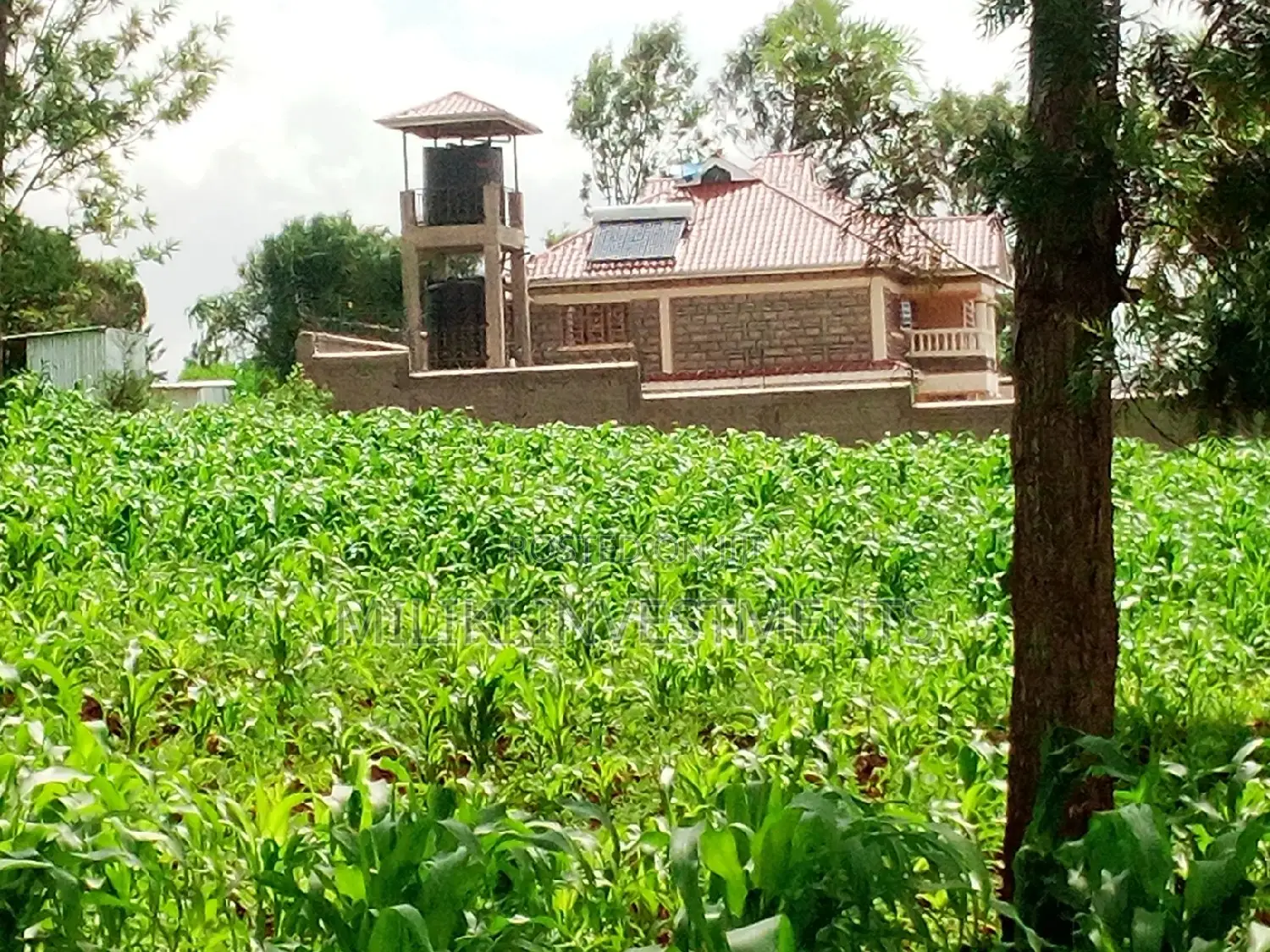 40 by 80 Ft Plot for Sale at Githanji/Kandara Investment.