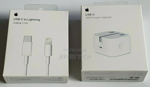 Apple 18W Fast Type-C Plug and USB-C to Lightning Cable For