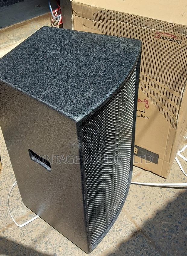 Soundking Midrange/Midbass Speaker - main view