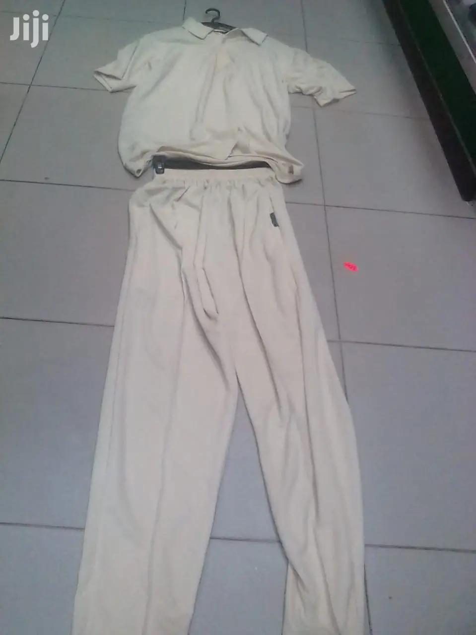 Cream White Cricket