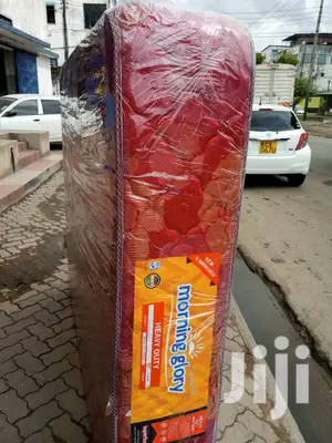 Heavy Duty Mattress 10inch Thick