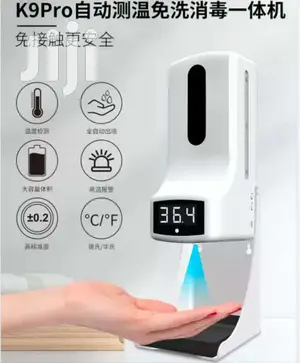 K9 Wall Thermometer