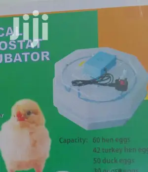 Warranty 60 Egg Incubator