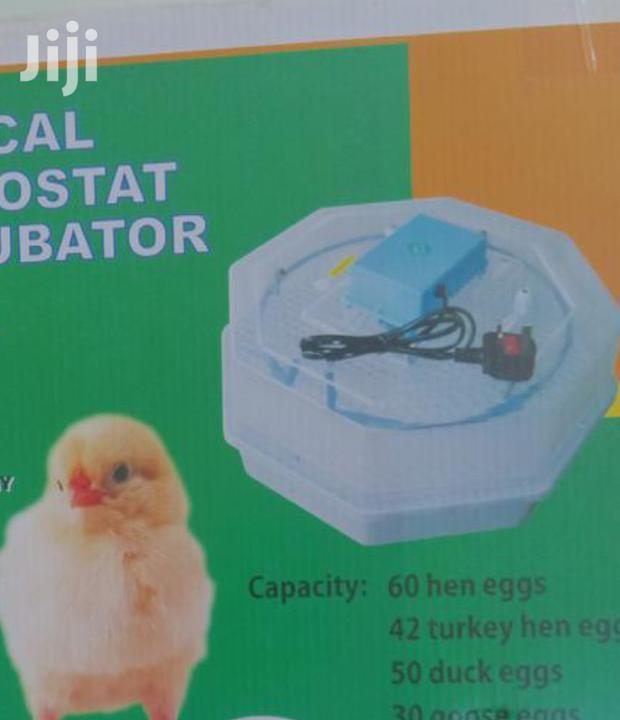 Warranty 60 Egg Incubator