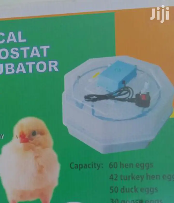 Warranty 60 Egg Incubator