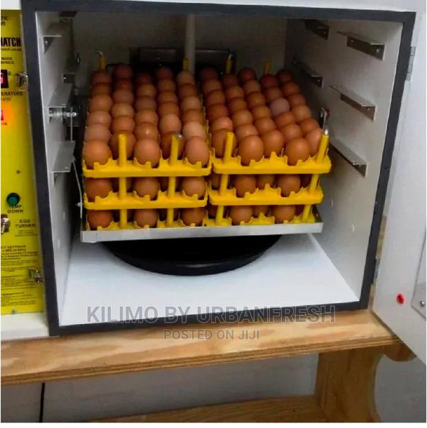 Eggs Incubators Different Sizes Automatic / Manual - main view