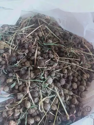 Rabbit Manure