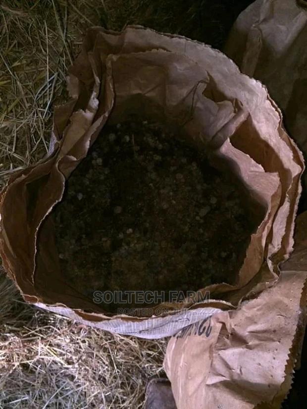 Rabbit Manure - main view