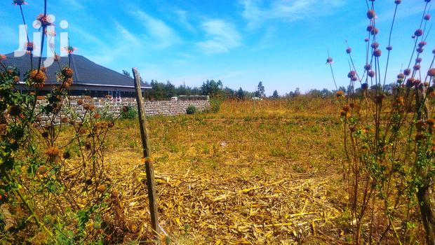 50*100 Plots for Sale in Ngata 400mts From Tarmac - thumbnail 2