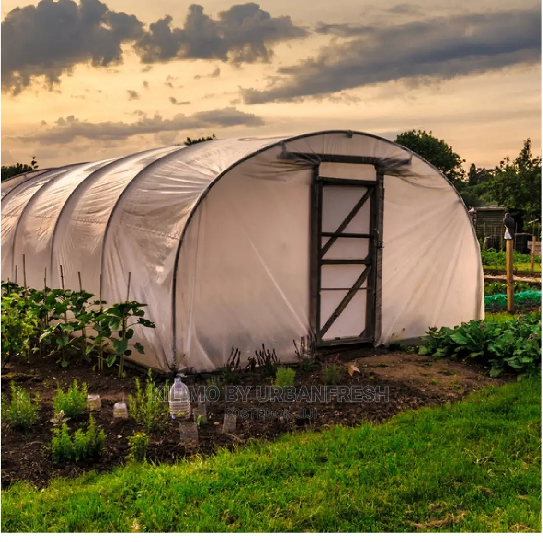 Greenhouses 8 X 15m.