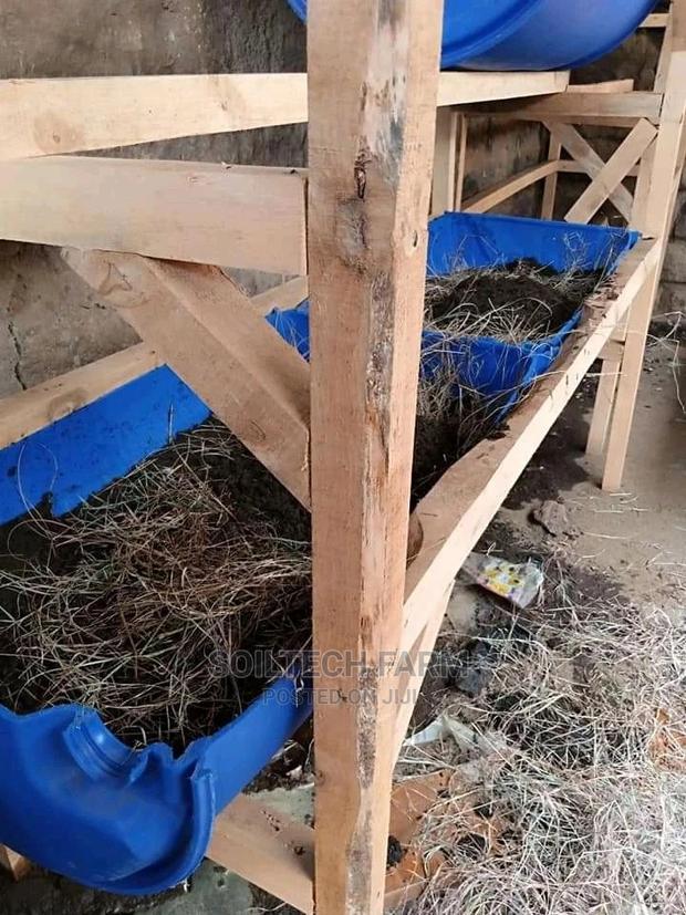 Worm Casting Compost/Vermicompost - thumbnail 8