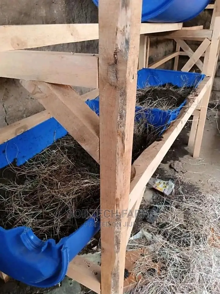 Worm Casting Compost/Vermicompost