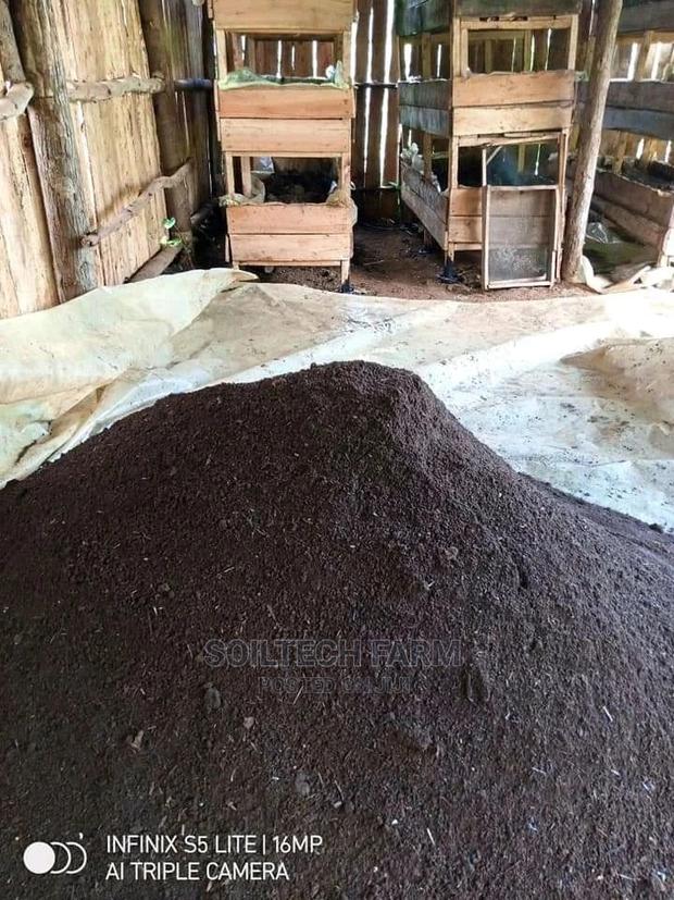 Worm Casting Compost/Vermicompost - thumbnail 6