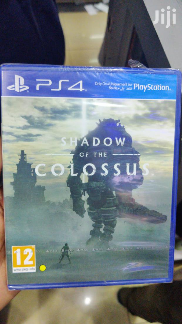 Shadow of the Colossus - main view