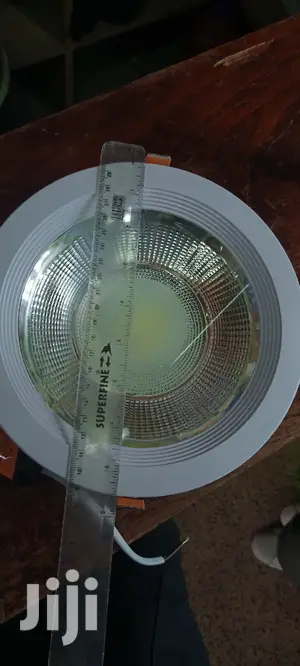 30w Downlighter