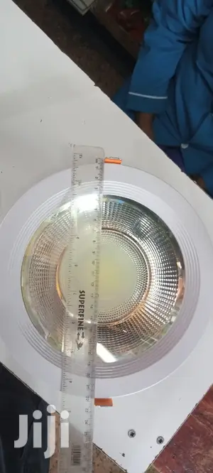 30w Downlighter