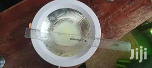 30w Downlighter