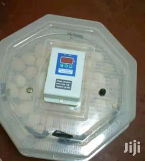 High Reliable 60 Egg Incubator