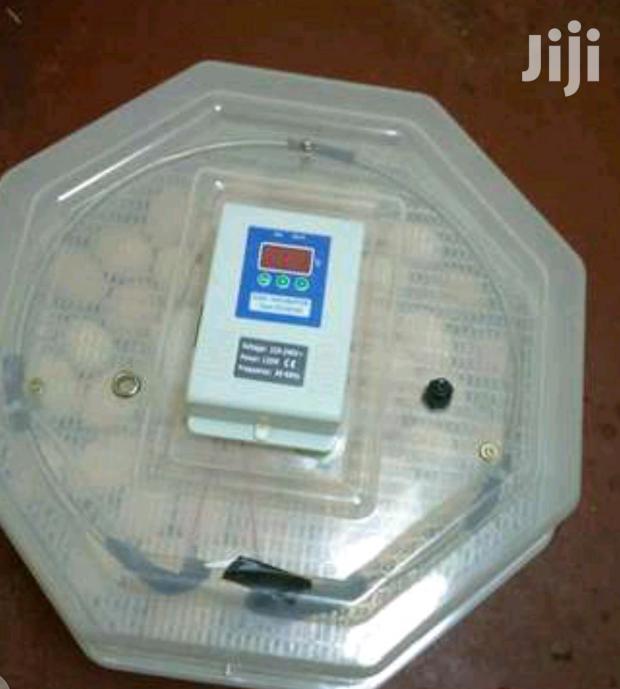 High Reliable 60 Egg Incubator - main view