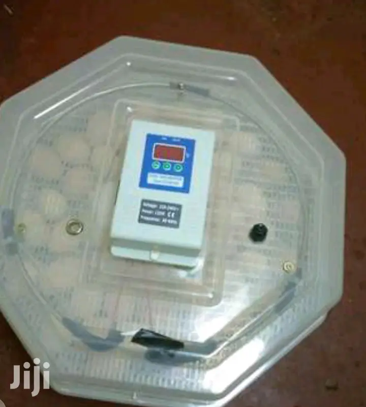 High Reliable 60 Egg Incubator