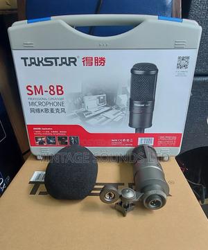 Takstar Sm-8b Studio Condenser Microphone - thumbnail 2