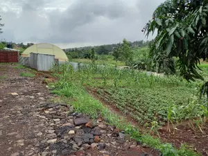Residential Plot In Mugumo