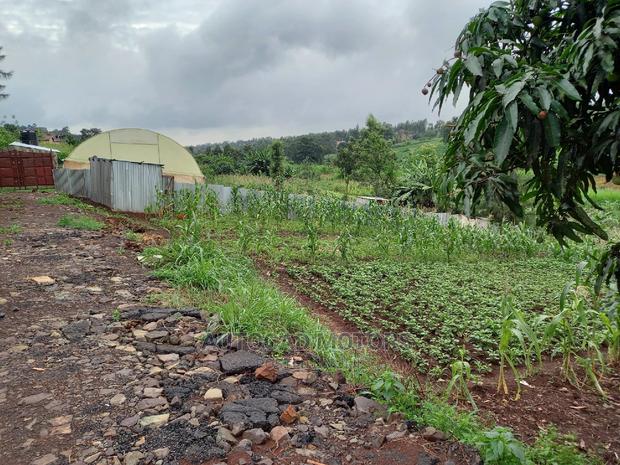 Residential Plot In Mugumo - main view
