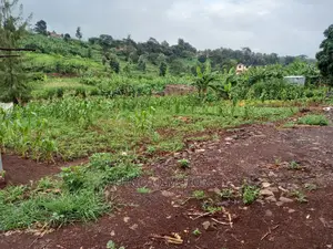 Residential Plot In Mugumo
