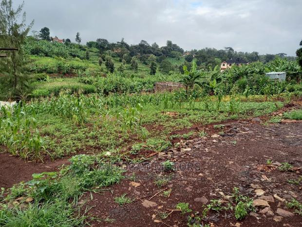 Residential Plot In Mugumo - thumbnail 6