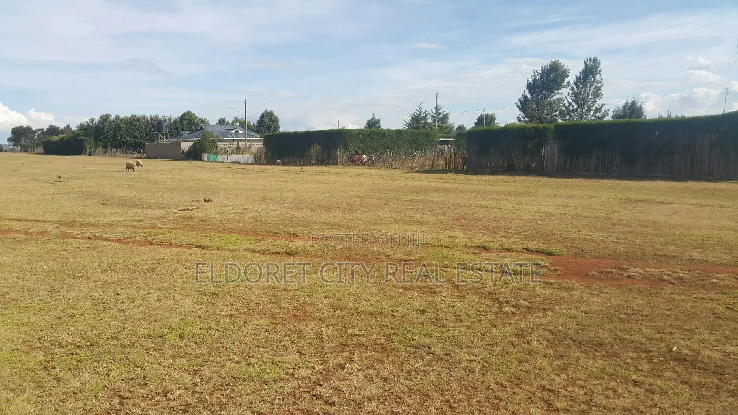 1/8 Plot Kipkorgot