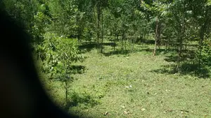 5 Acres Kapseret Chepyapkwai Area