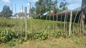 Good Residential Area in Upper Elgonview