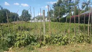 1/2 Acre Elgonview Upper in Getted Community