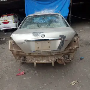 Car Body Paint 