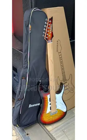 Solo Guitar With Guitar Bag