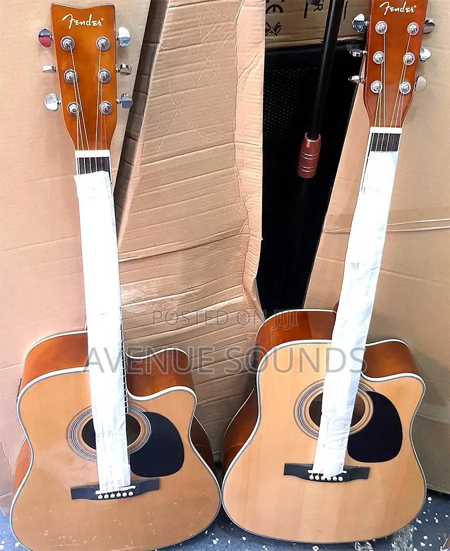 Fender Semi Acoustic Box Guitars