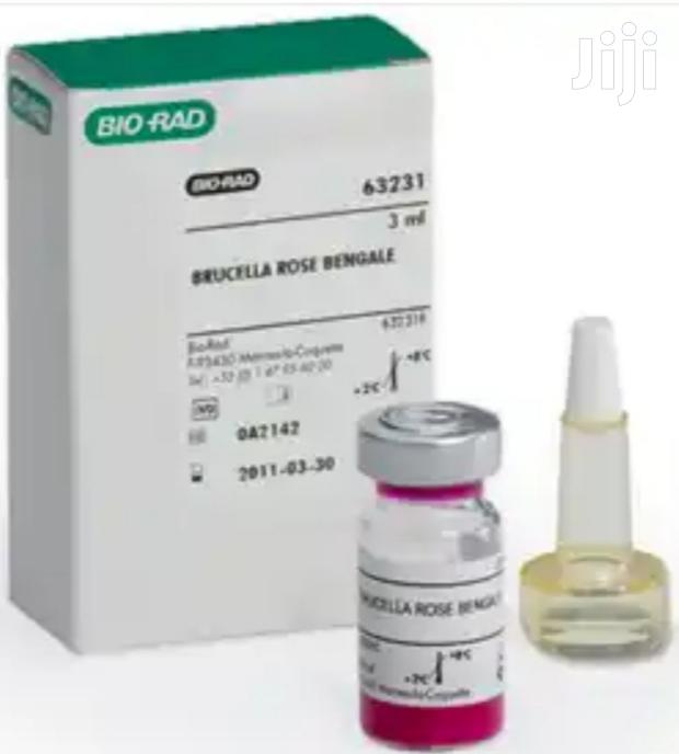 Brucella Antigen - main view