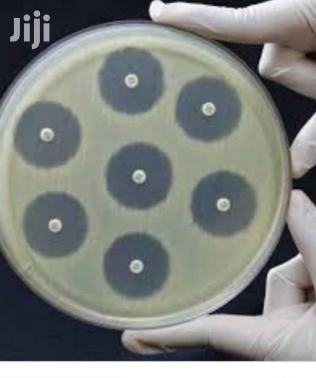 Sensitivity Discs 2/4 - main view