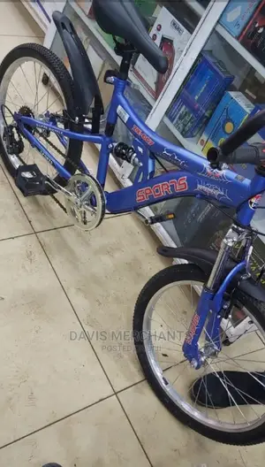 12 Speed Gear Mountain Bike